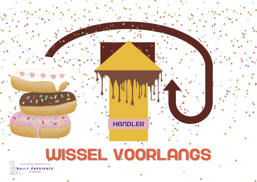 Themales Rally: Donut - Afbeelding 6