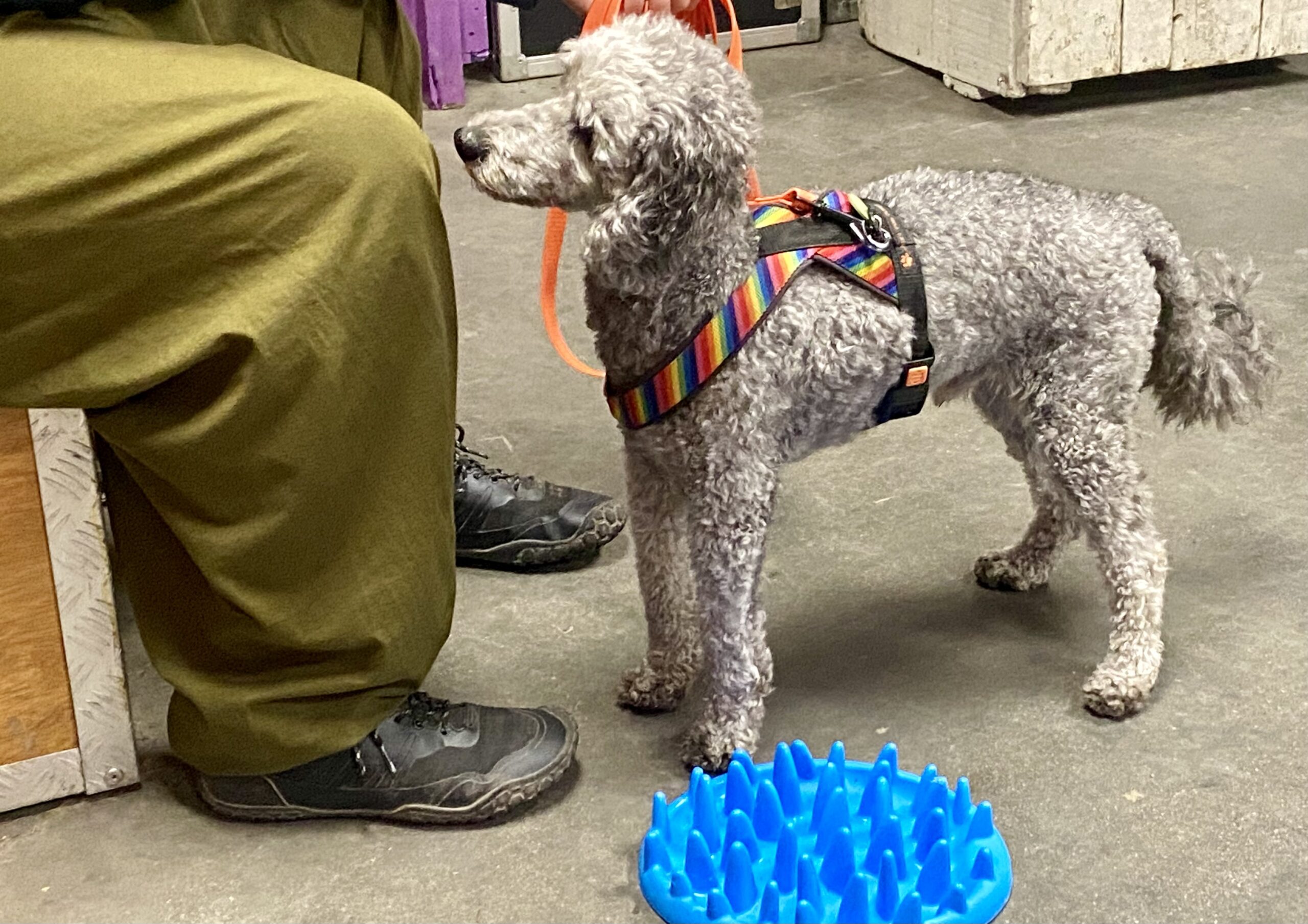 Rust en Regie - Afbeelding 5