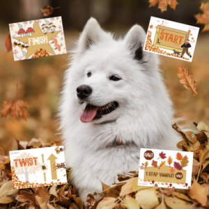 Themales Rally: Herfst 12 Okt