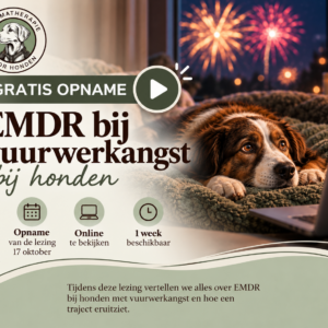 GRATIS opname online lezing EMDR bij Vuurwerkangst