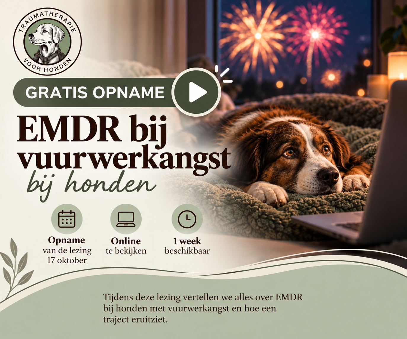 GRATIS opname online lezing EMDR bij Vuurwerkangst