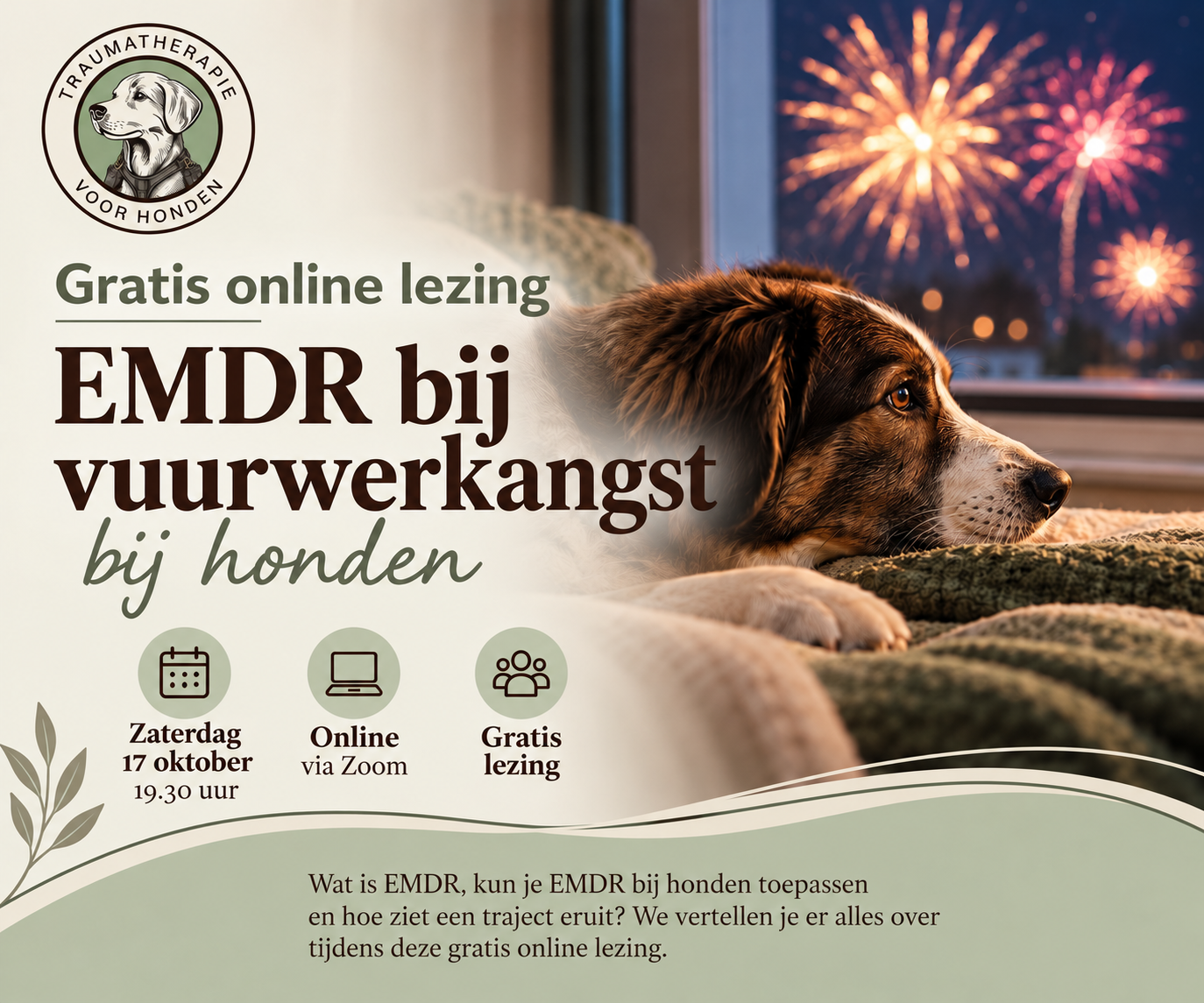 GRATIS opname online lezing EMDR bij Vuurwerkangst - Afbeelding 8